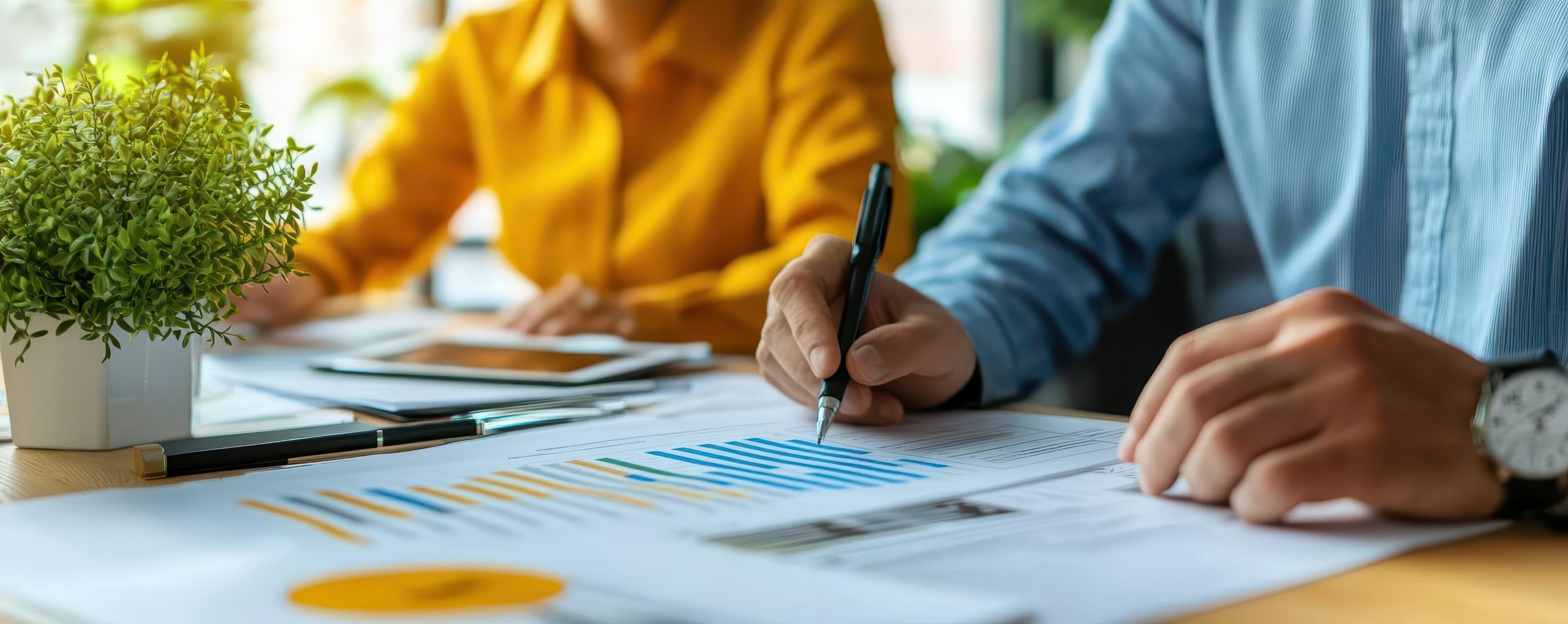 A financial advisor