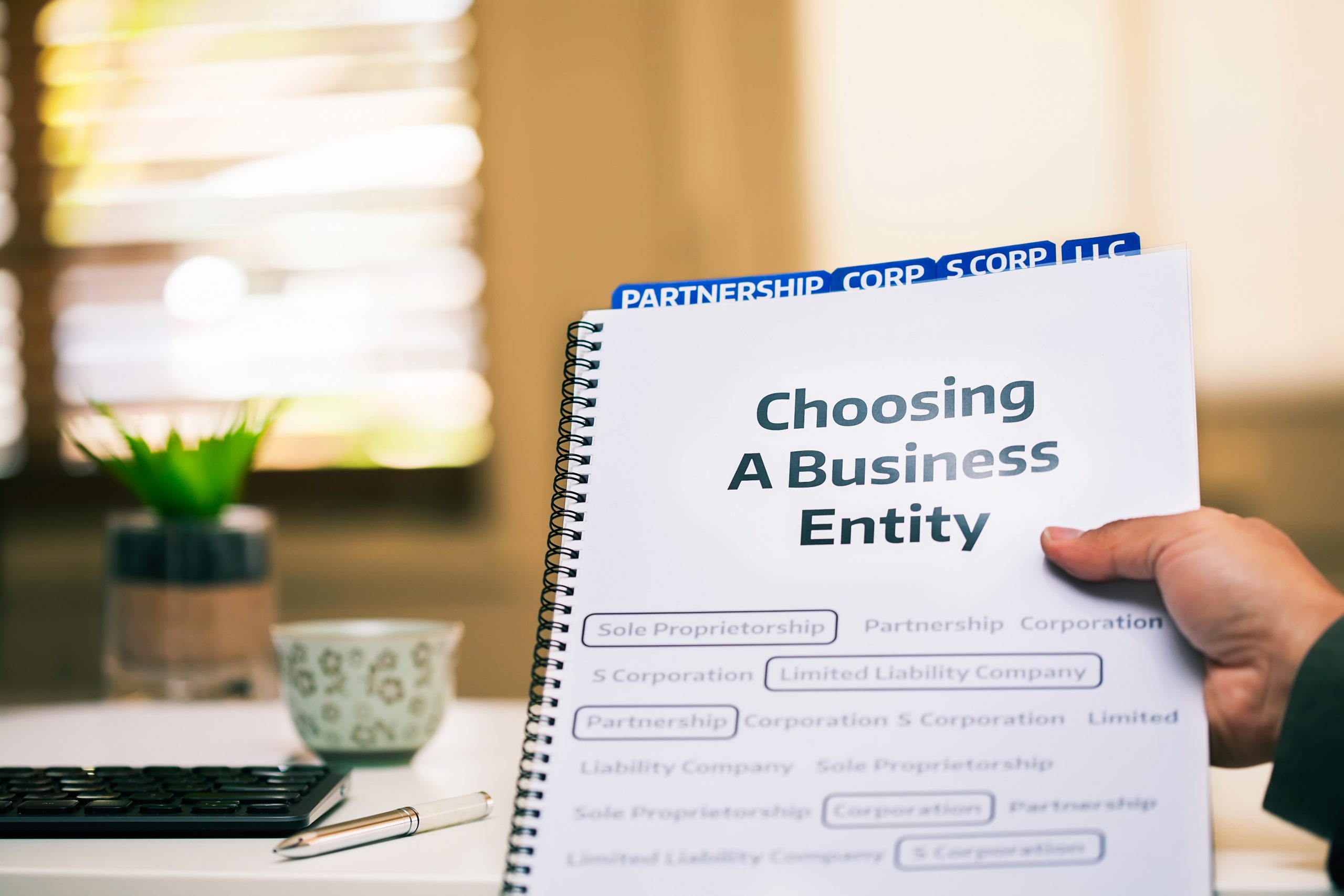 Owning Investment Real Estate through Single Member LLCs
