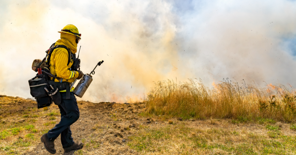 California Announces Tax Relief for Those Affected by LA County Wildfires