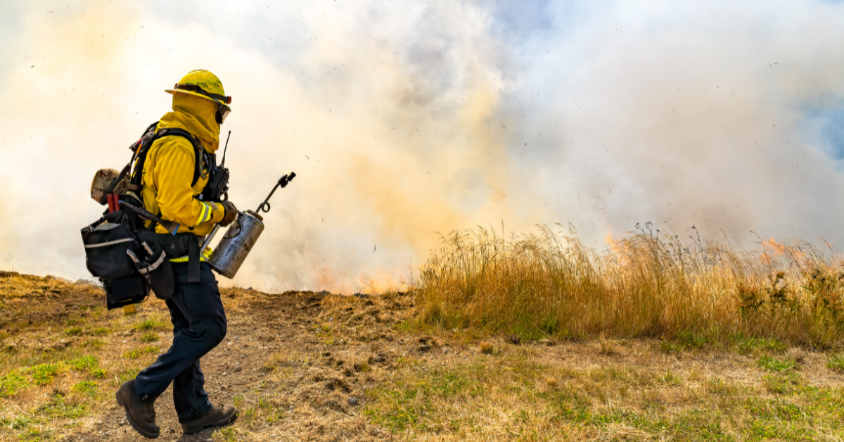 California Announces Tax Relief for Those Affected by LA County Wildfires